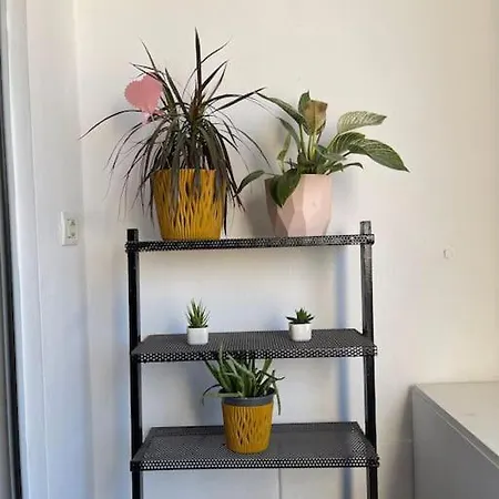 Apartment Comfy Cozy